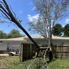 Fast-Safe-and-Efficient-Tree-Services 0